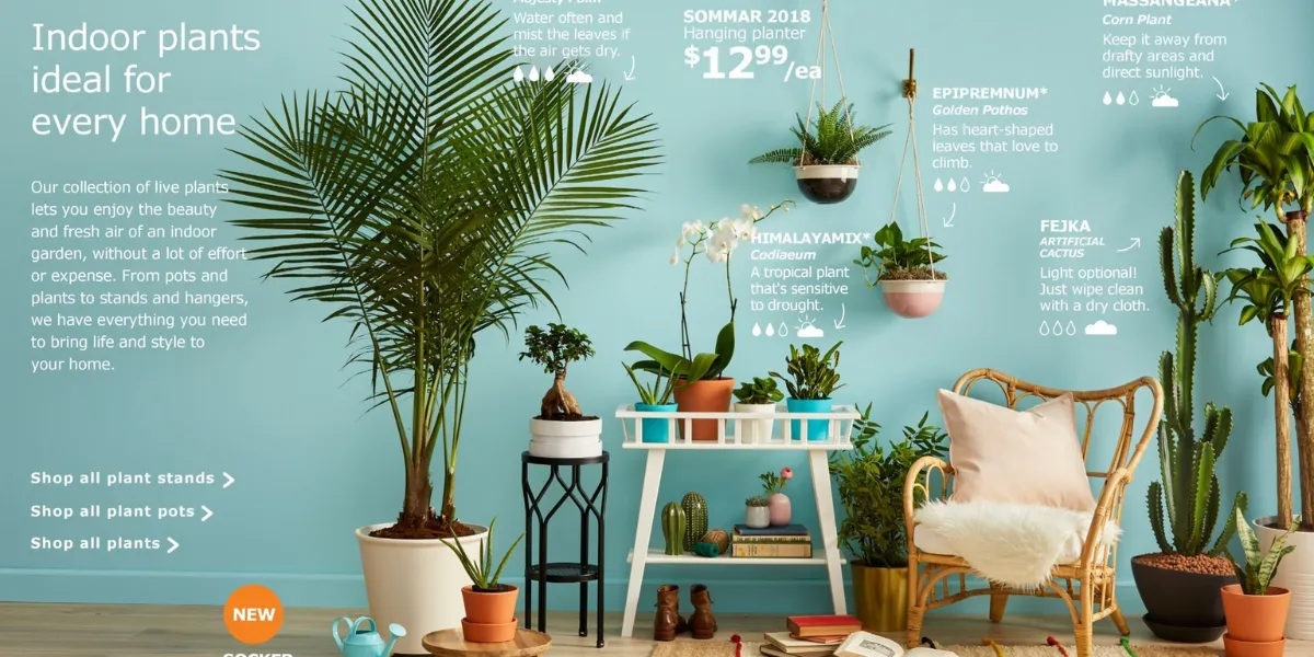 Best Indoor Plants For Condo Dwellers