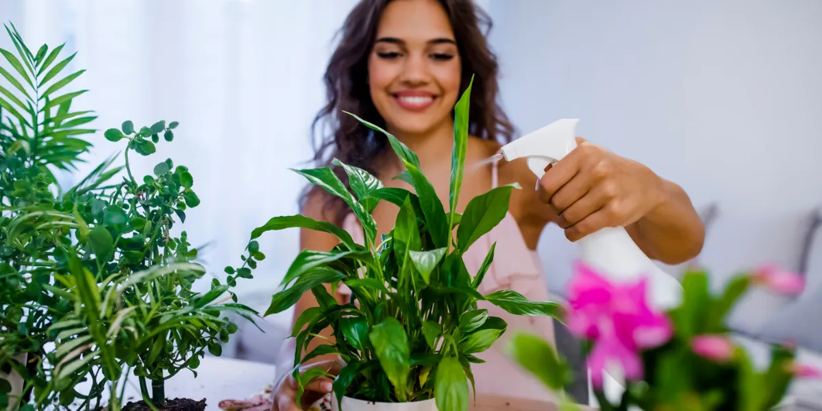 Best Indoor Plants For Condo Dwellers